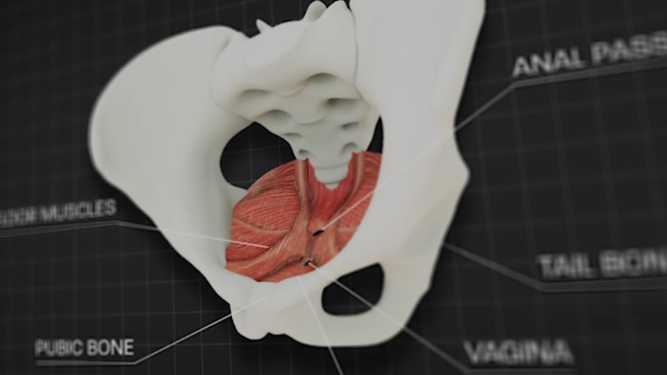 What does prolapse feel like? About half of all women who have had a child have some level of prolapse. Not all have symptoms – we know one in five of these women seek medical help.