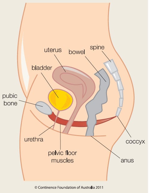 what are the risk factors for POP